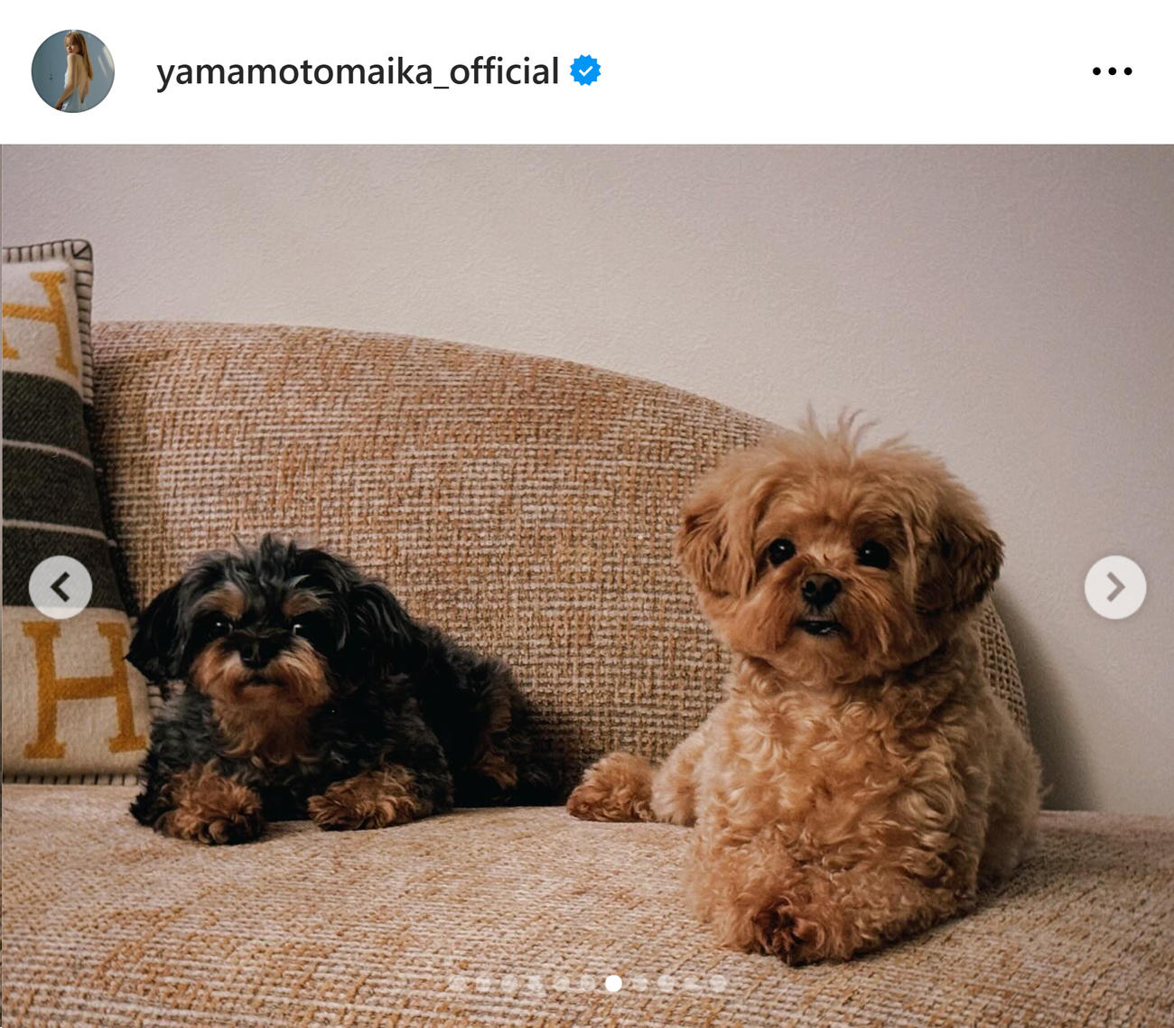 山本舞香のインスタグラムから