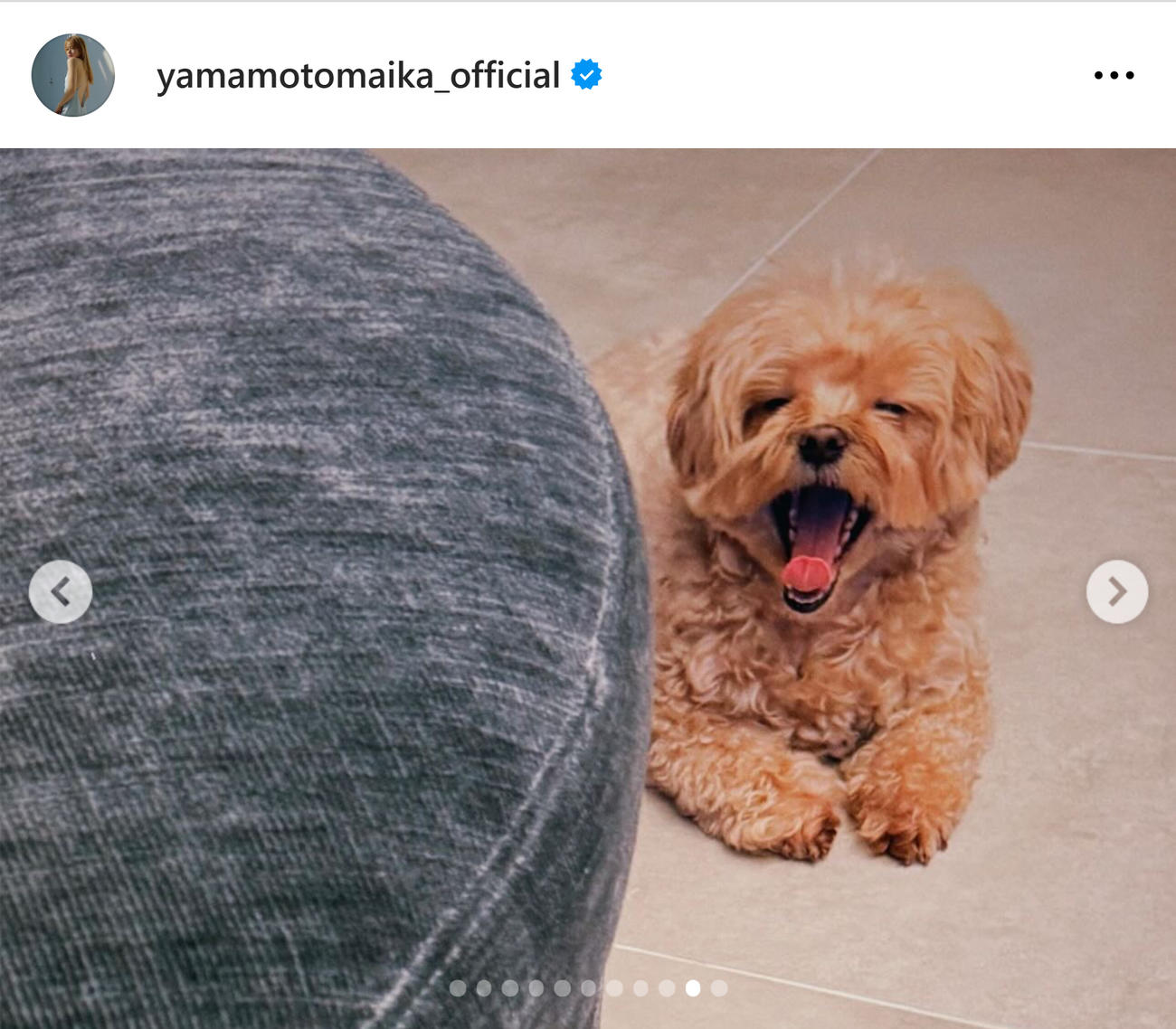 山本舞香のインスタグラムから