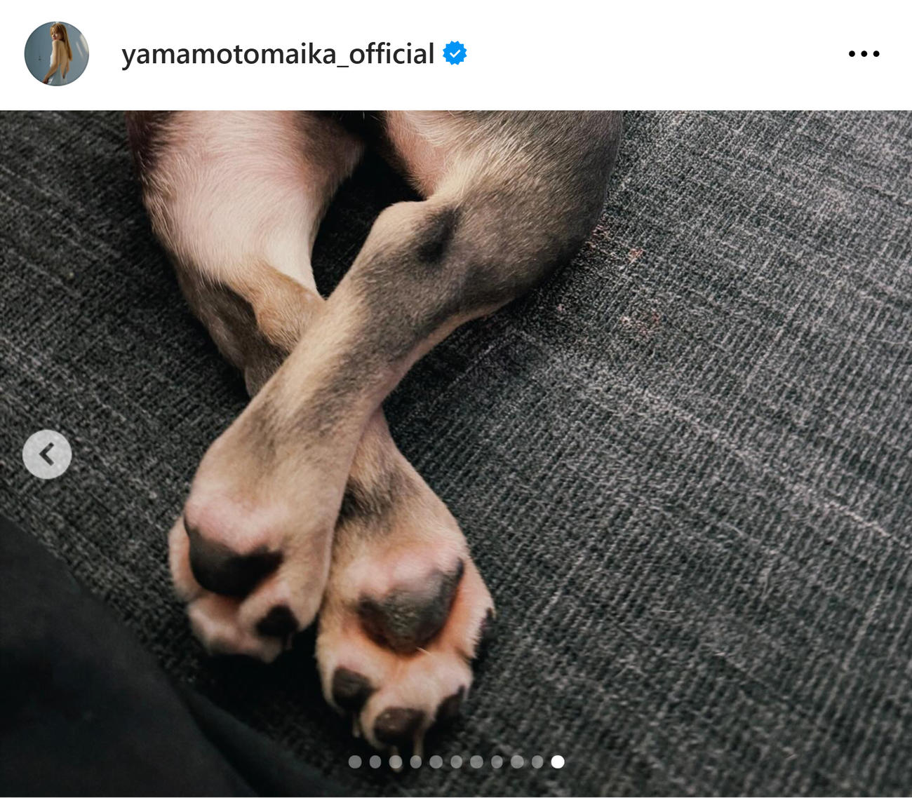 山本舞香のインスタグラムから