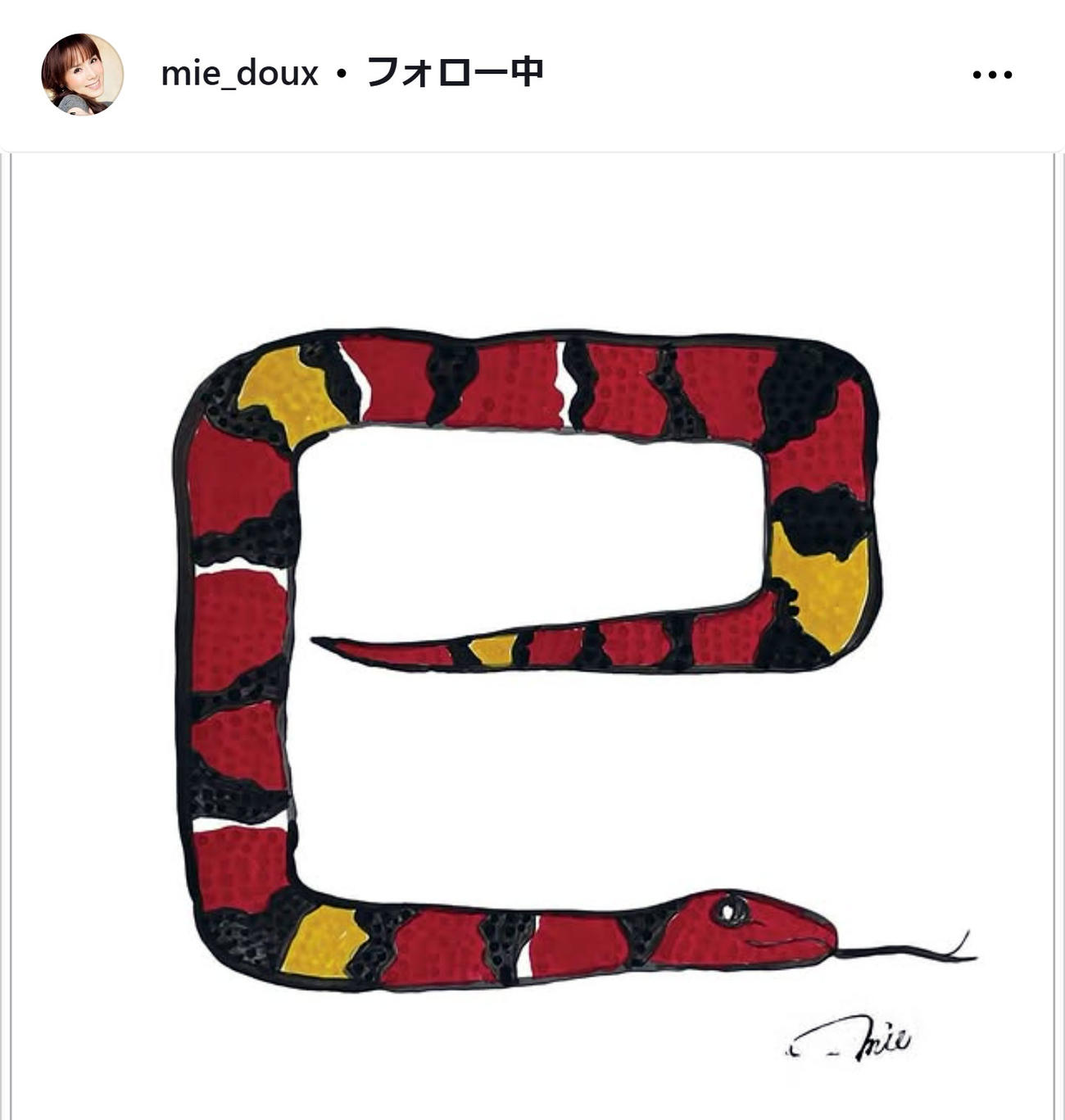 未唯mieのインスタグラムから