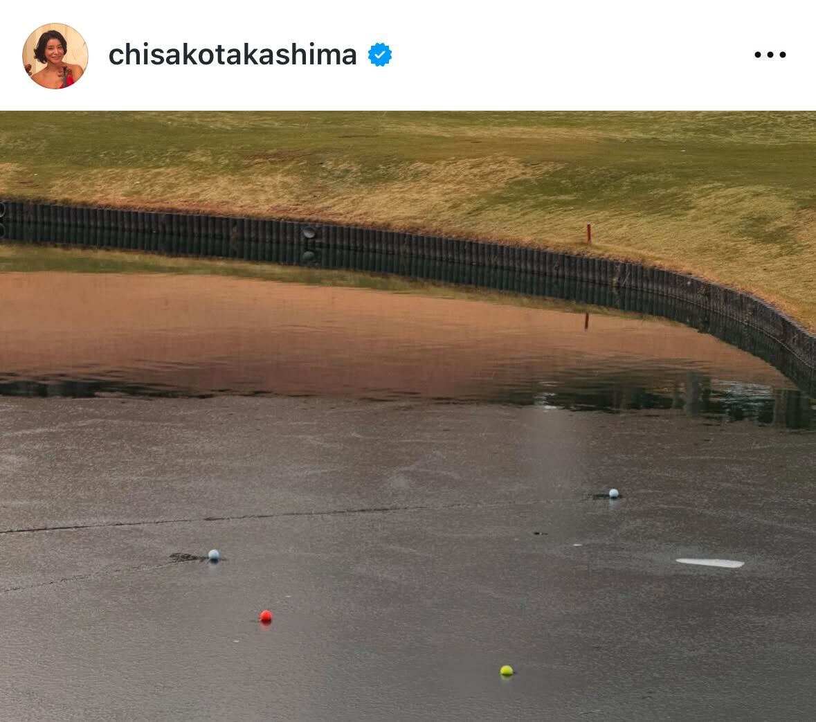 高嶋ちさ子のインスタグラムから