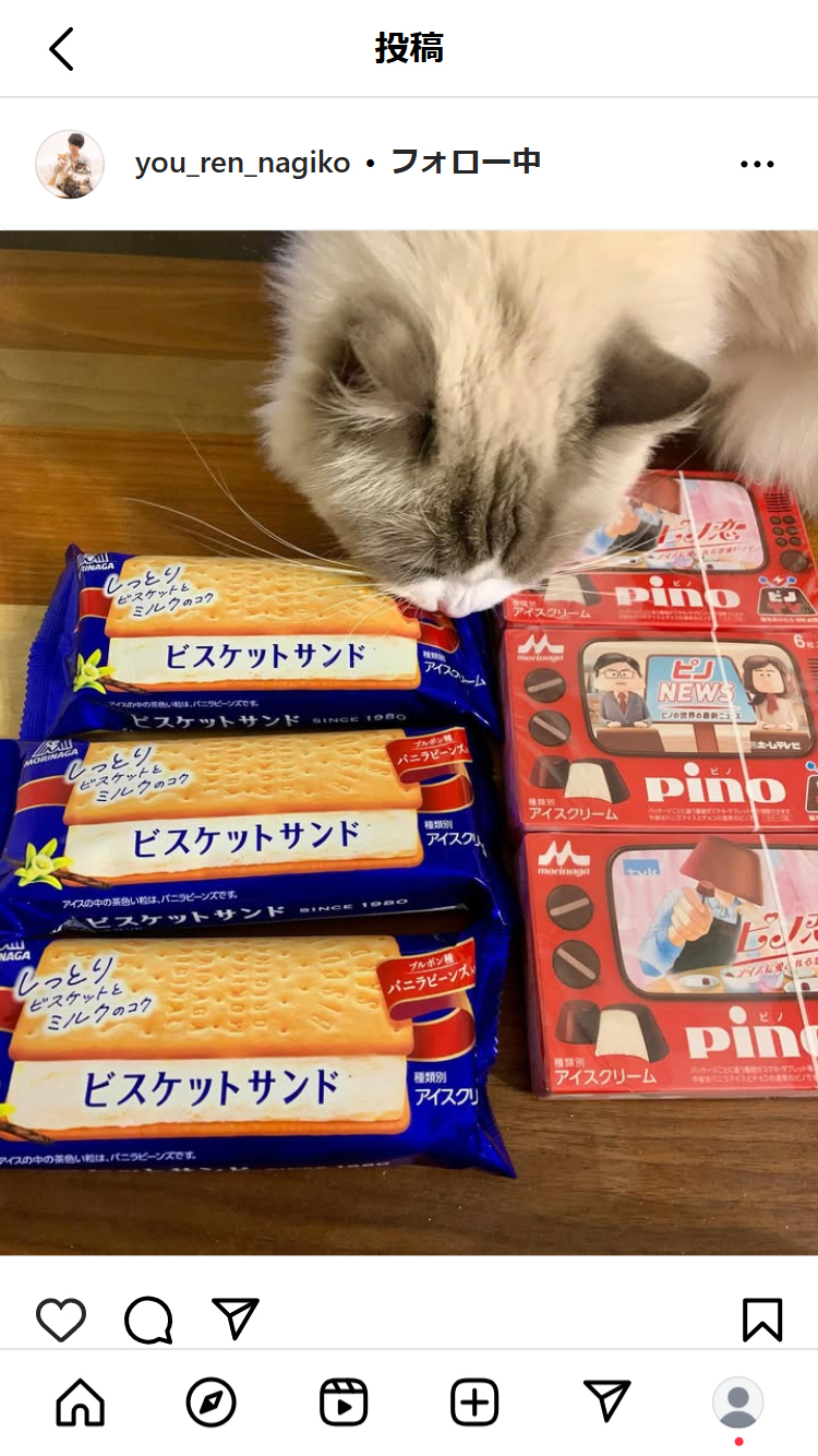 遠野なぎこのインスタグラムから