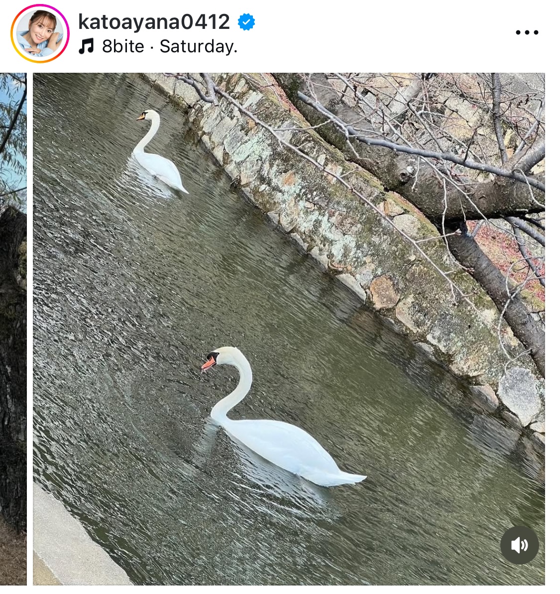 加藤綾菜インスタグラムから