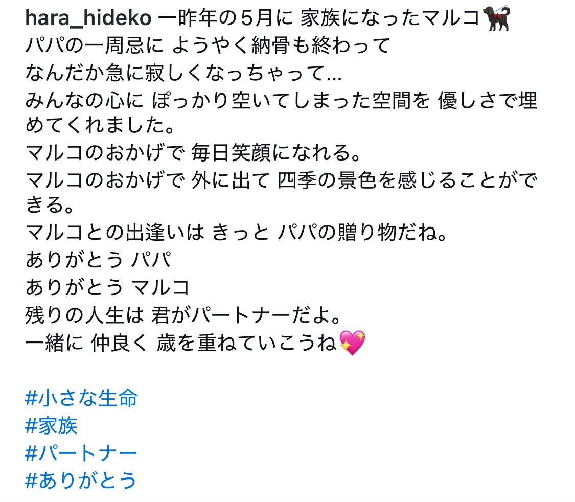 原日出子のインスタグラムから