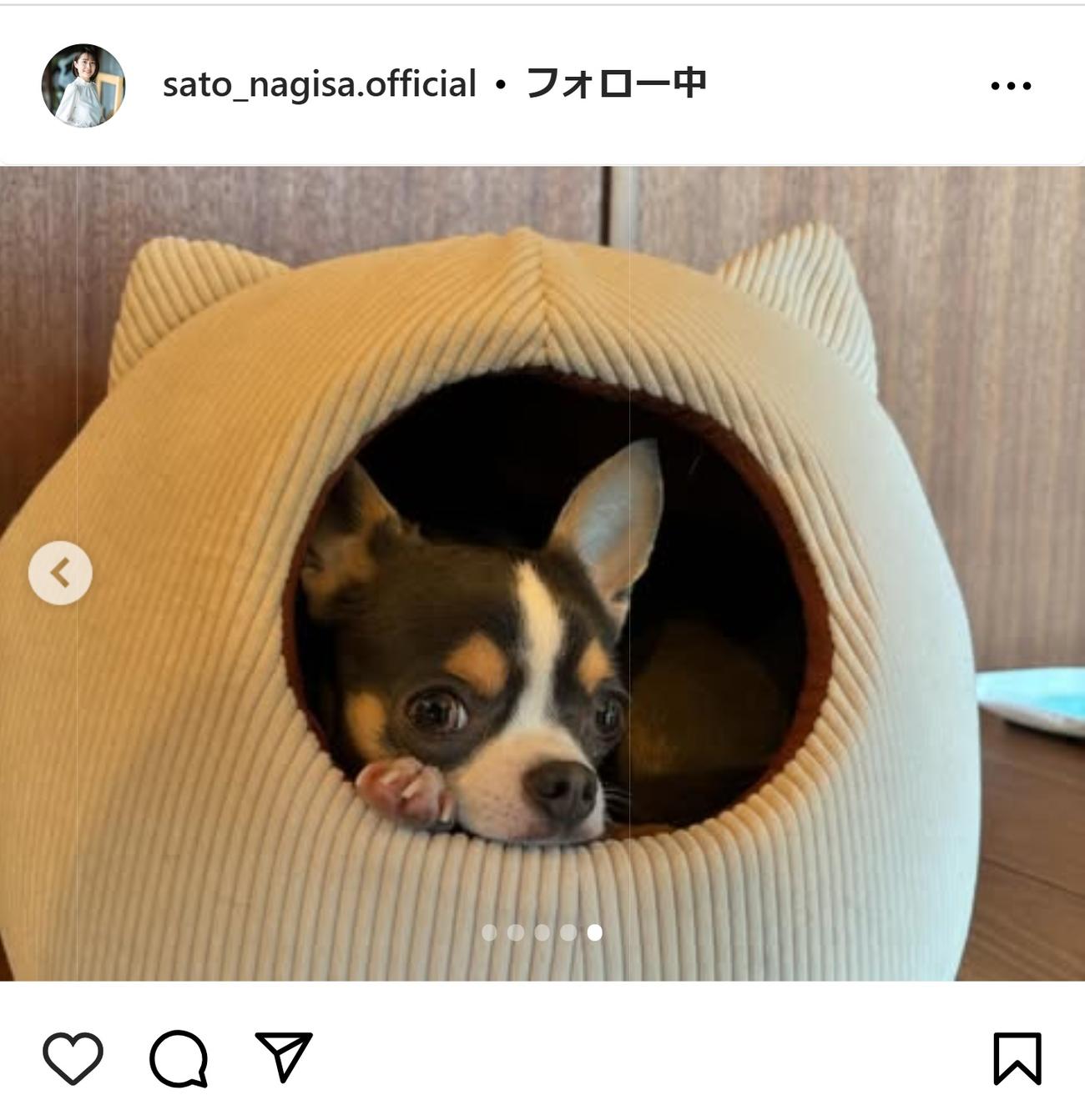 佐藤渚アナのインスタグラムから