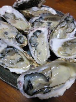 牡蠣
