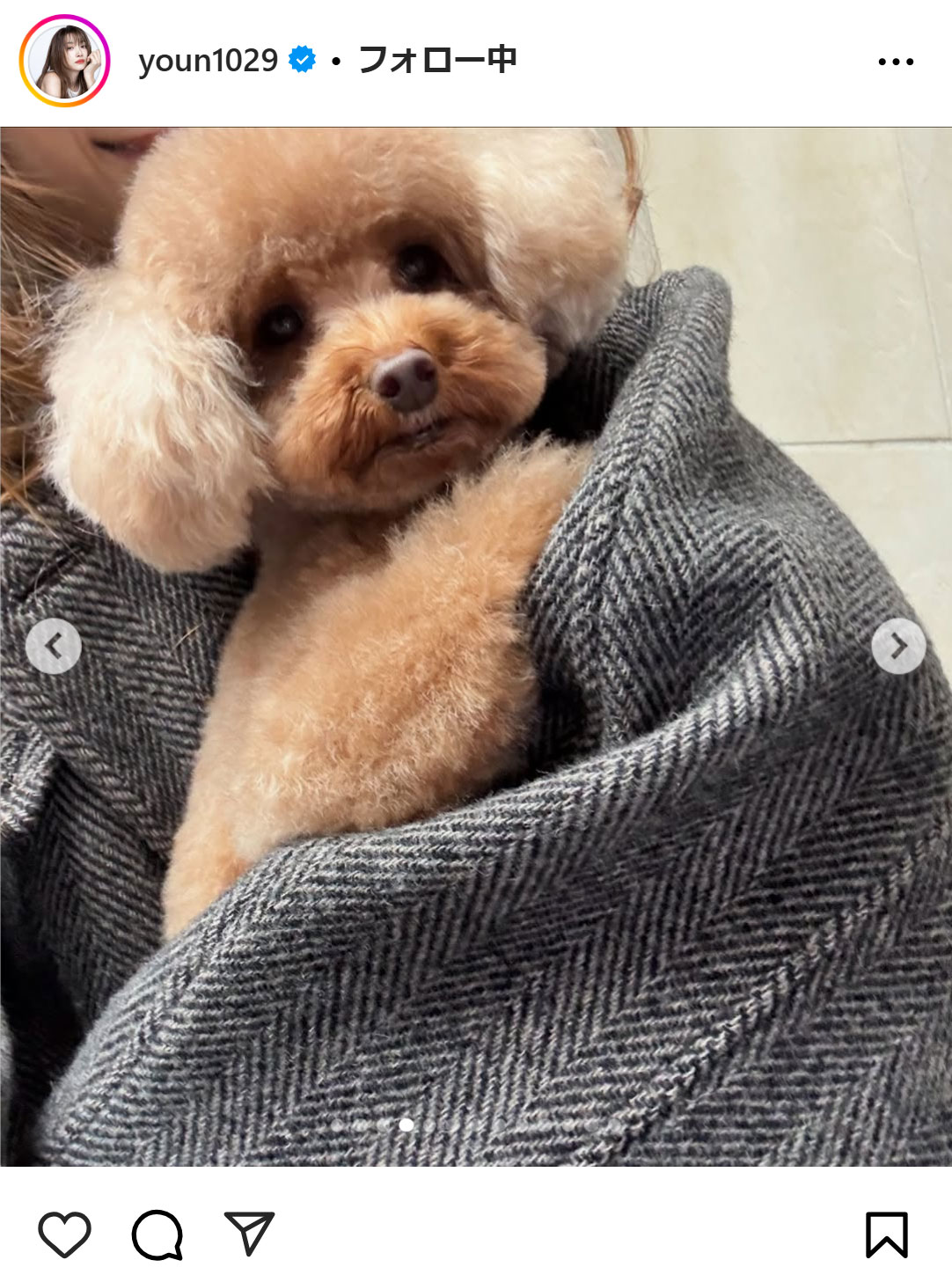 ヨンアのインスタグラムから