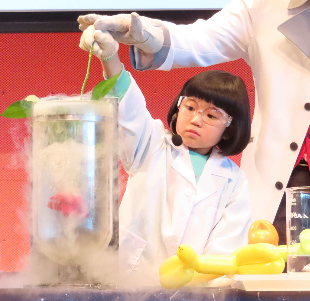 「永尾柚乃ちゃんと脱炭素を学ぶ！市岡元気先生の”HTT”サイエンスライブ」で液体窒素にバラの花を入れる永尾柚乃