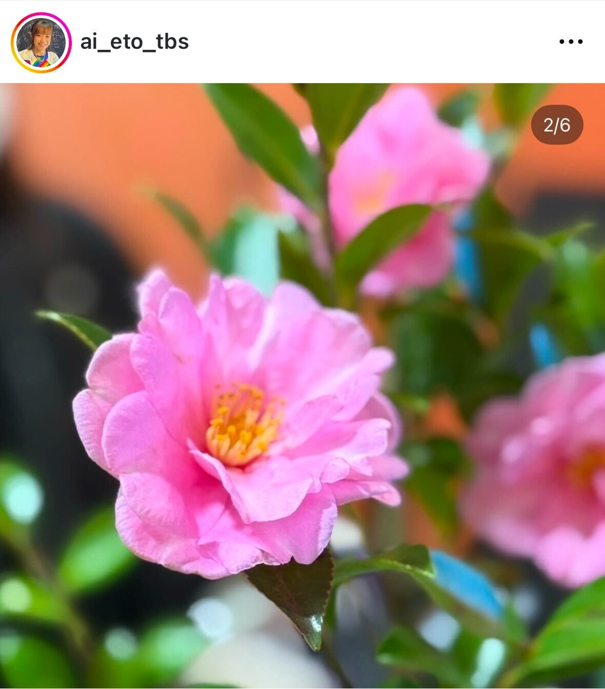 江藤愛アナのインスタグラムから
