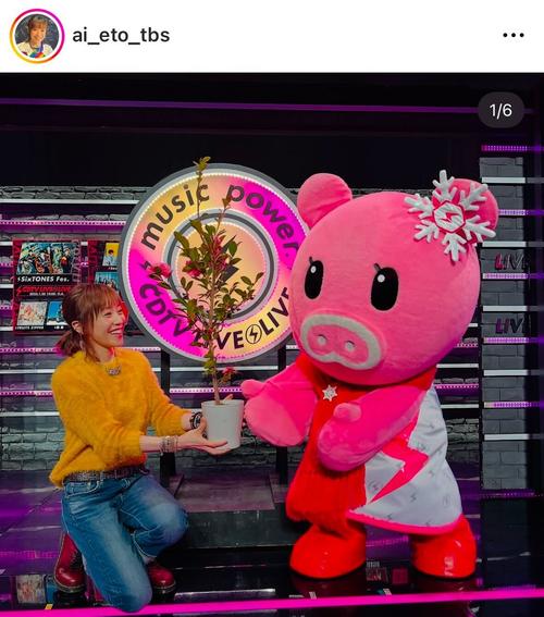 TBS江藤愛アナ「CDTV」使用サザンカはスタッフ栽培「こんなに綺麗に