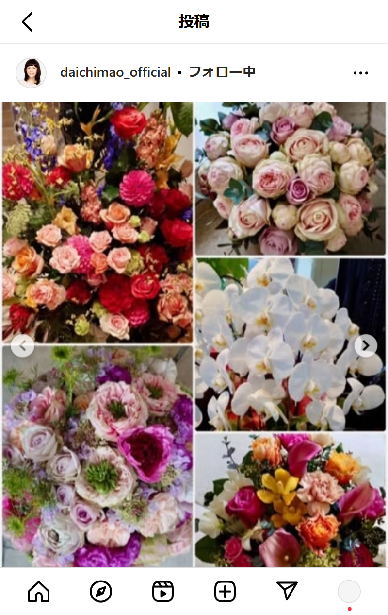 大地真央のインスタグラムから