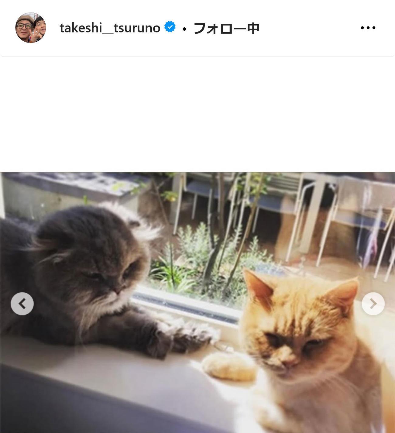 つるの剛士インスタグラムから