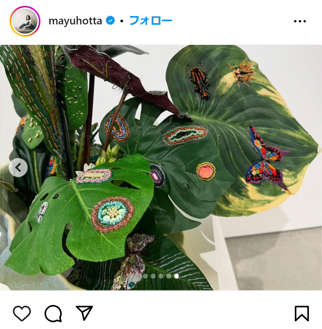 堀田真由のインスタグラムから