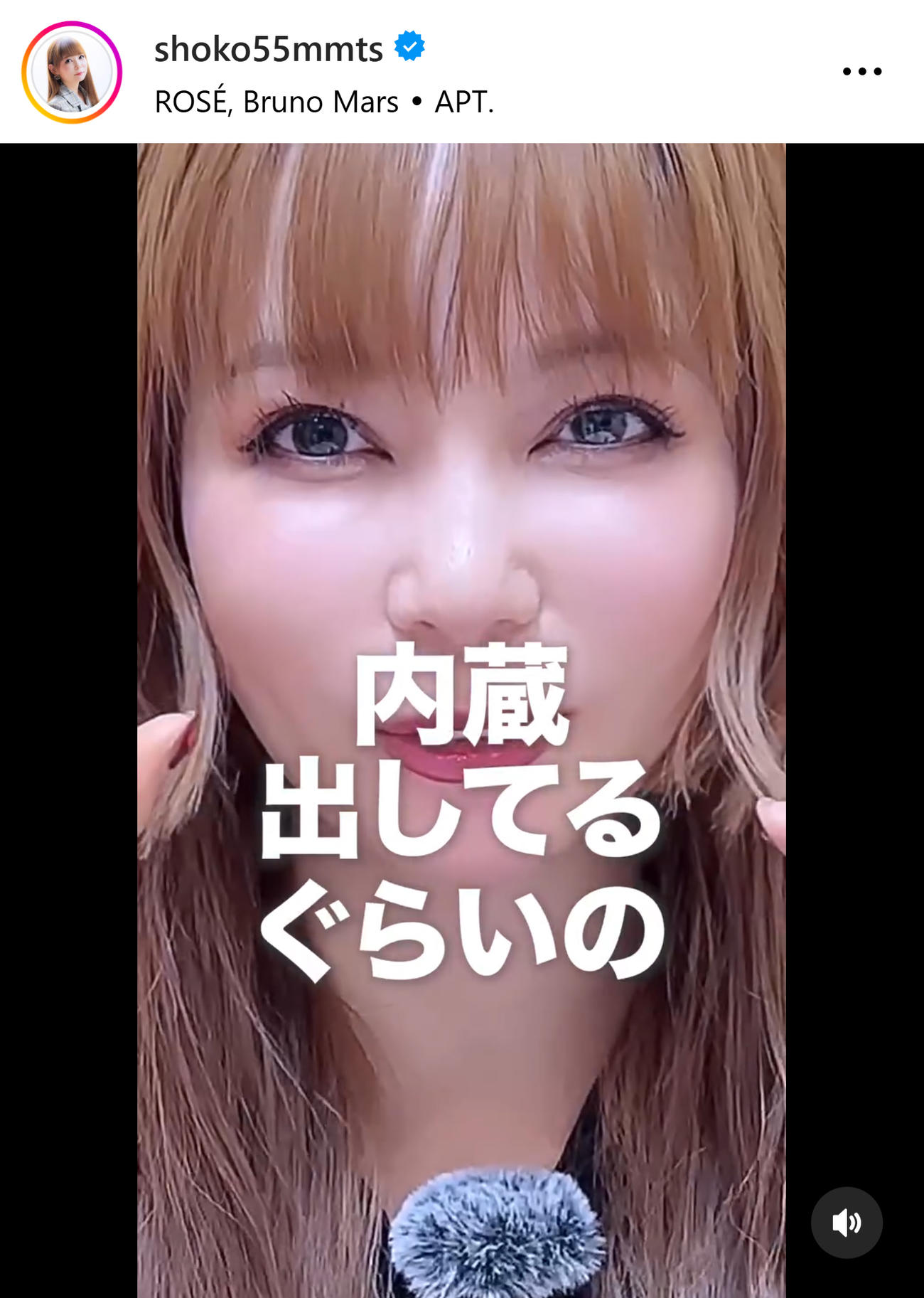 中川翔子のインスタグラムから