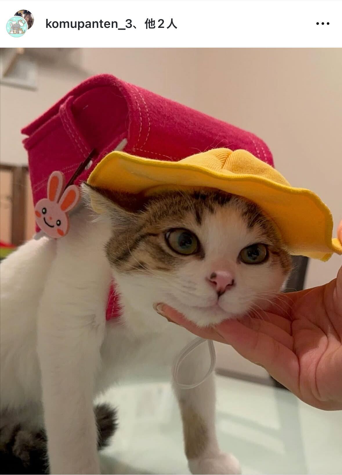 みりちゃむのインスタグラムから
