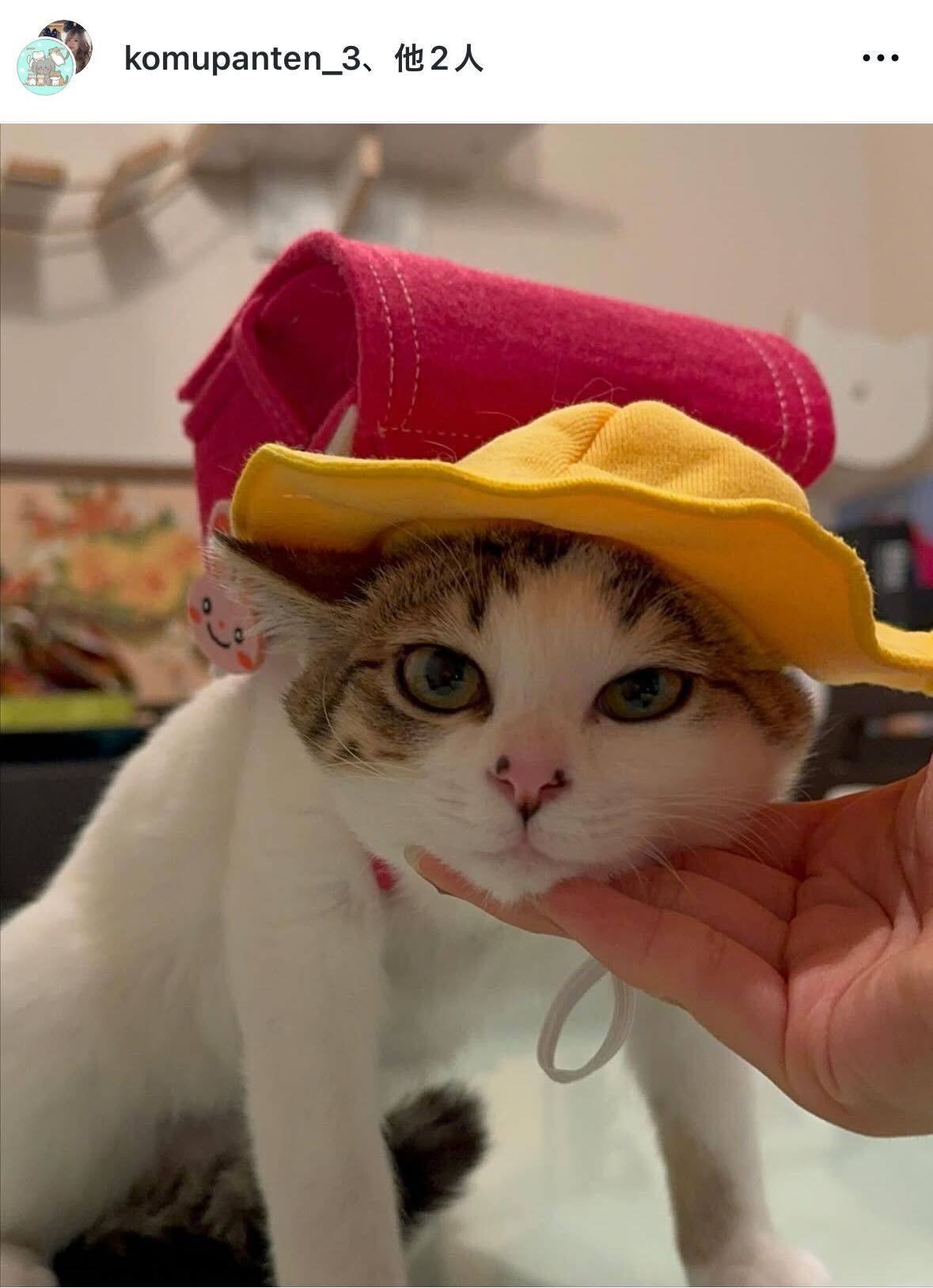 みりちゃむのインスタグラムから