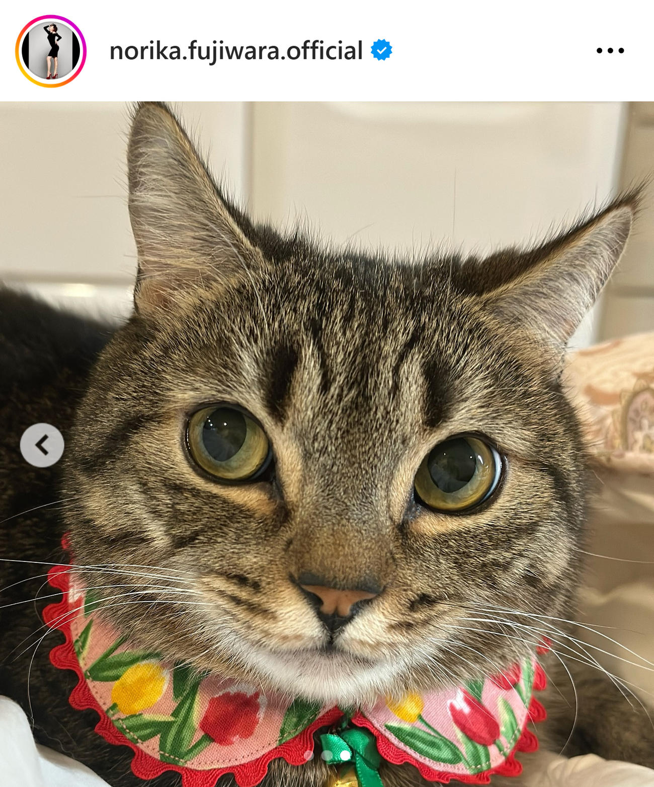 藤原紀香のインスタグラムから