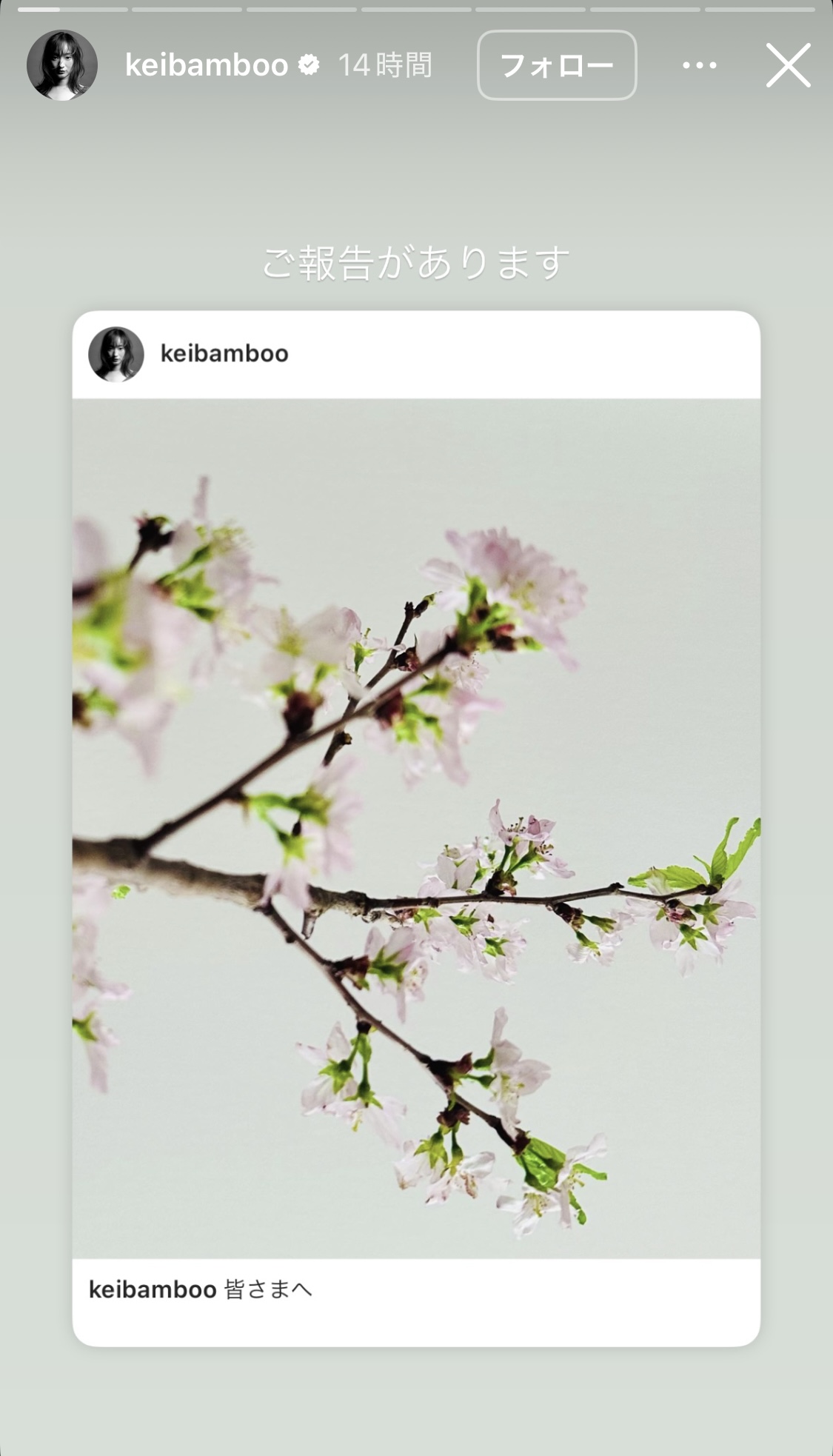 竹渕慶のインスタグラムから