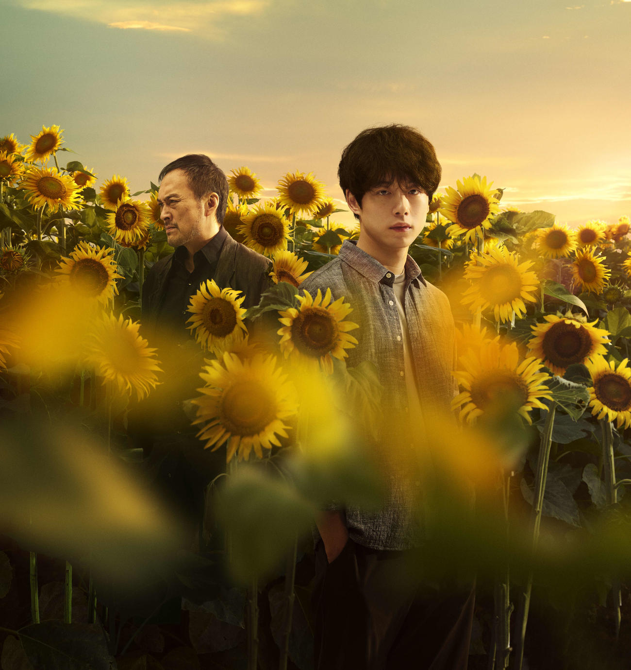 坂口健太郎、渡辺謙が出演する映画「盤上の向日葵」（C）2025映画「盤上の向日葵」製作委員会