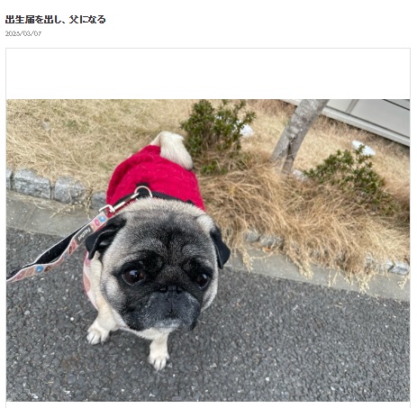 くじらのブログから