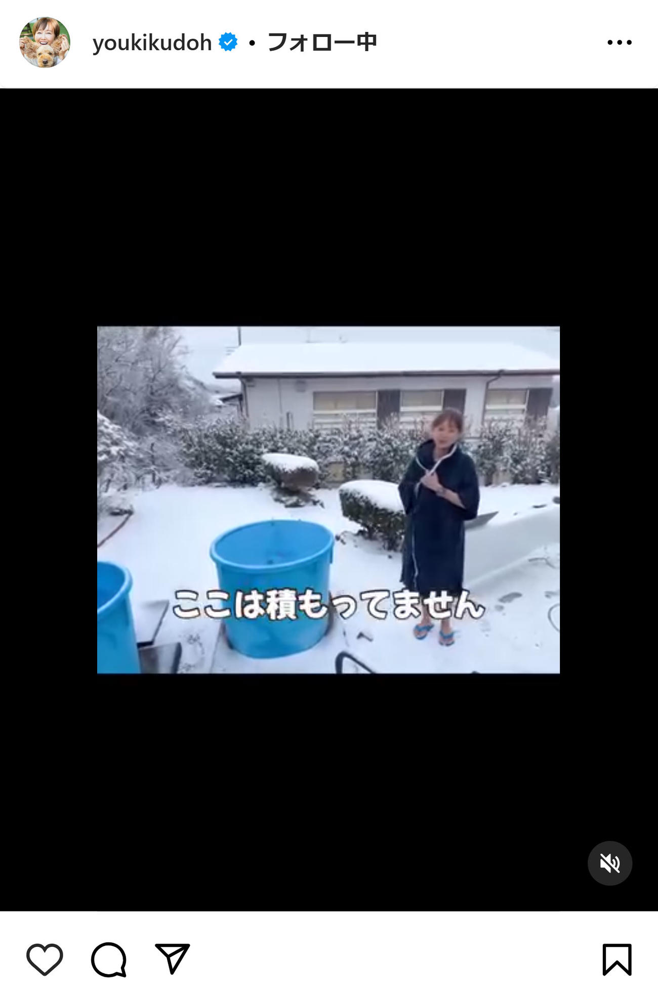 工藤夕貴のインスタグラムから