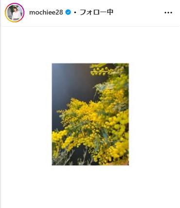 望月理恵のインスタグラムから