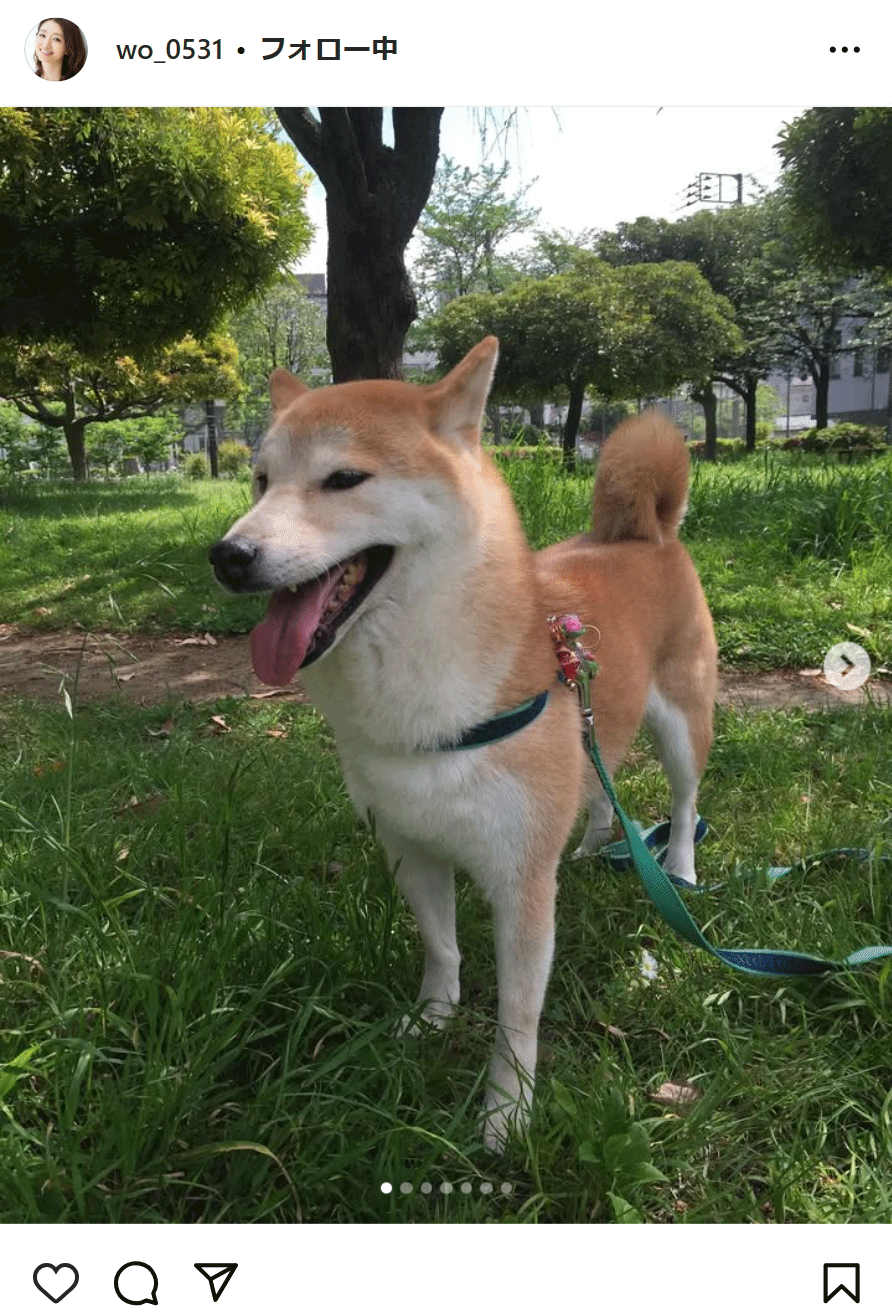 眞鍋かをりのインスタグラムから