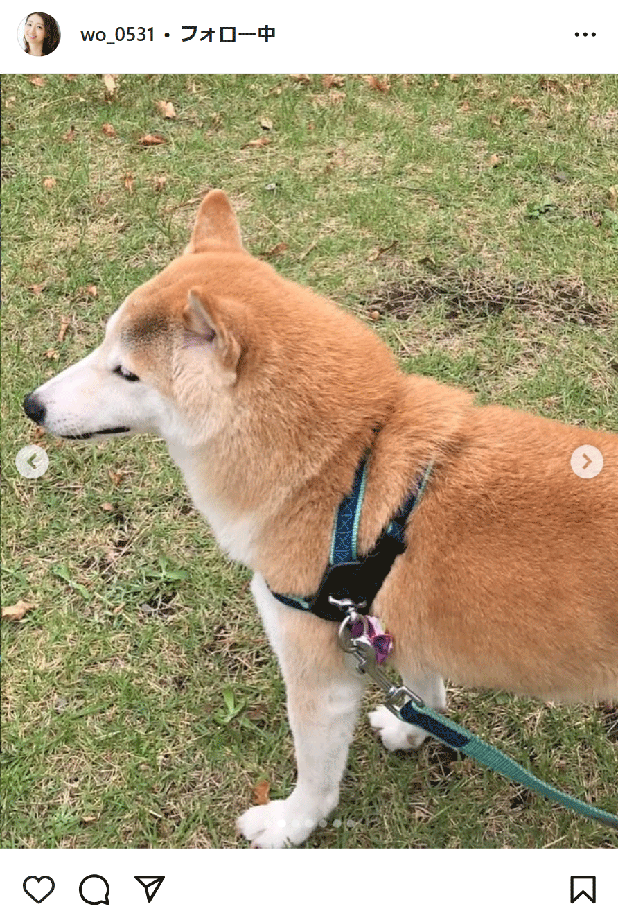 眞鍋かをりのインスタグラムから