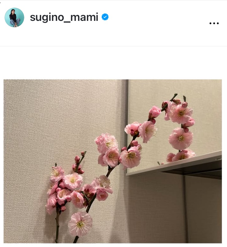 杉野真実アナウンサーのインスタグラムから