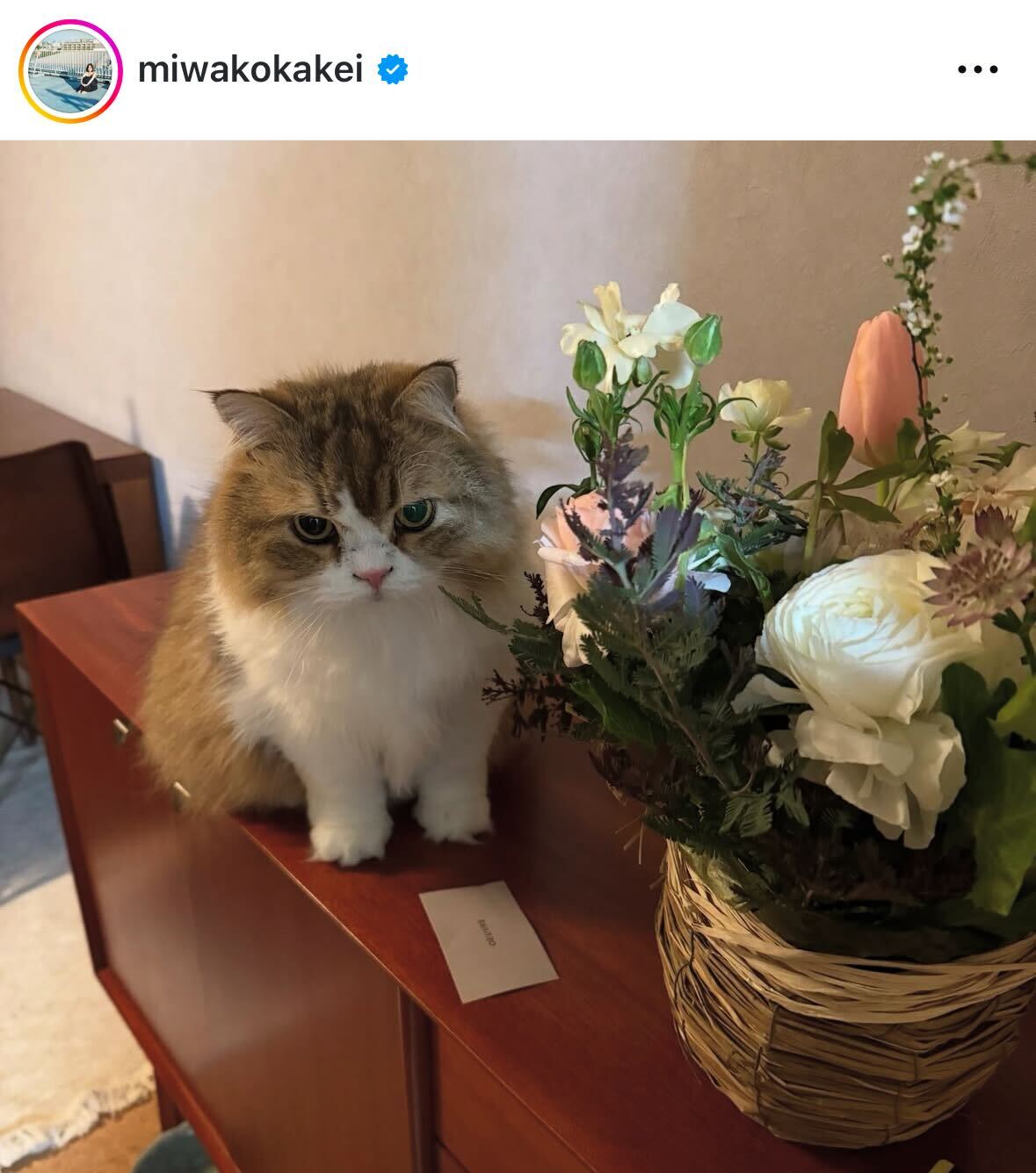 筧美和子のインスタグラムから