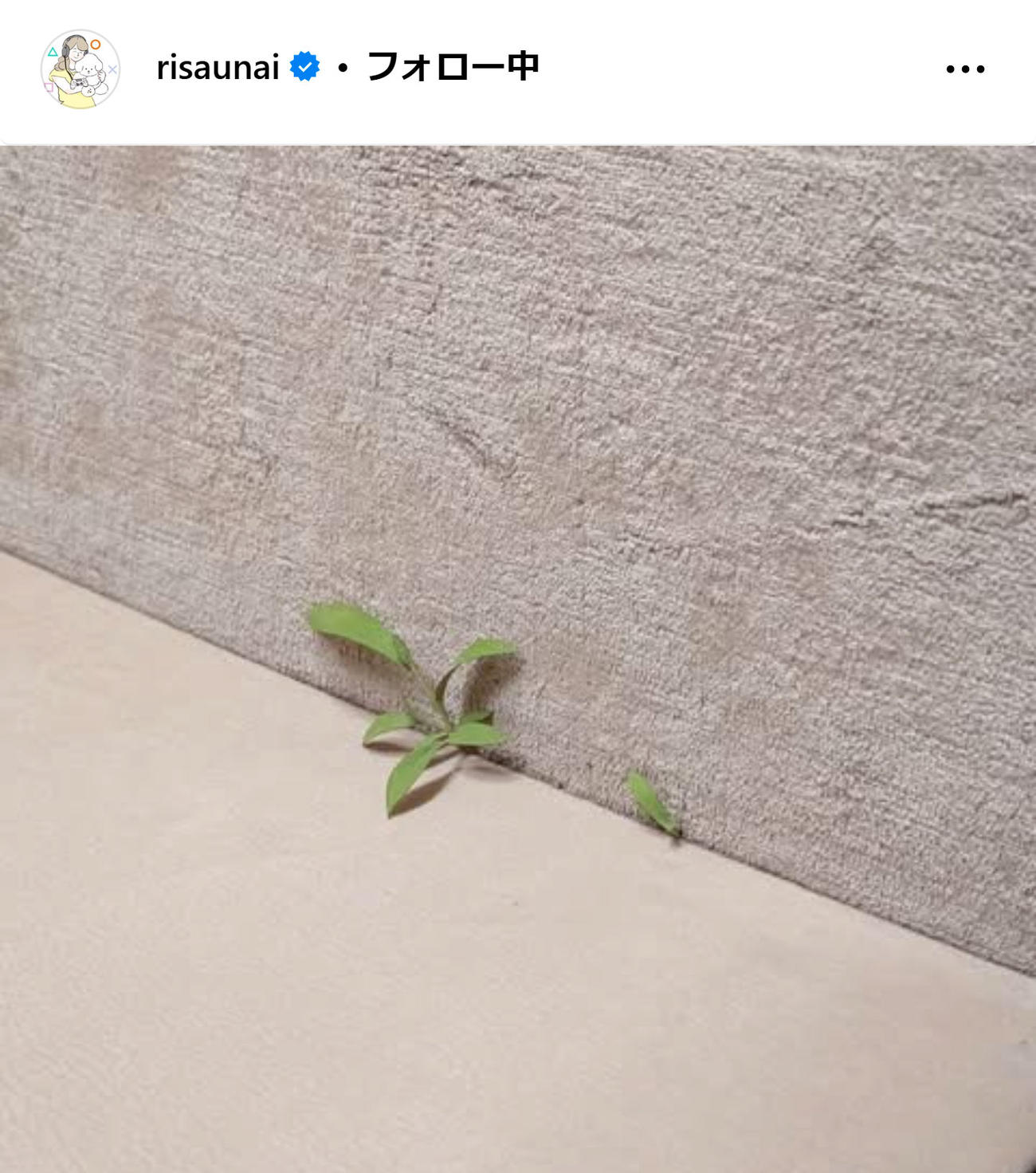 宇内梨沙アナのインスタグラムから