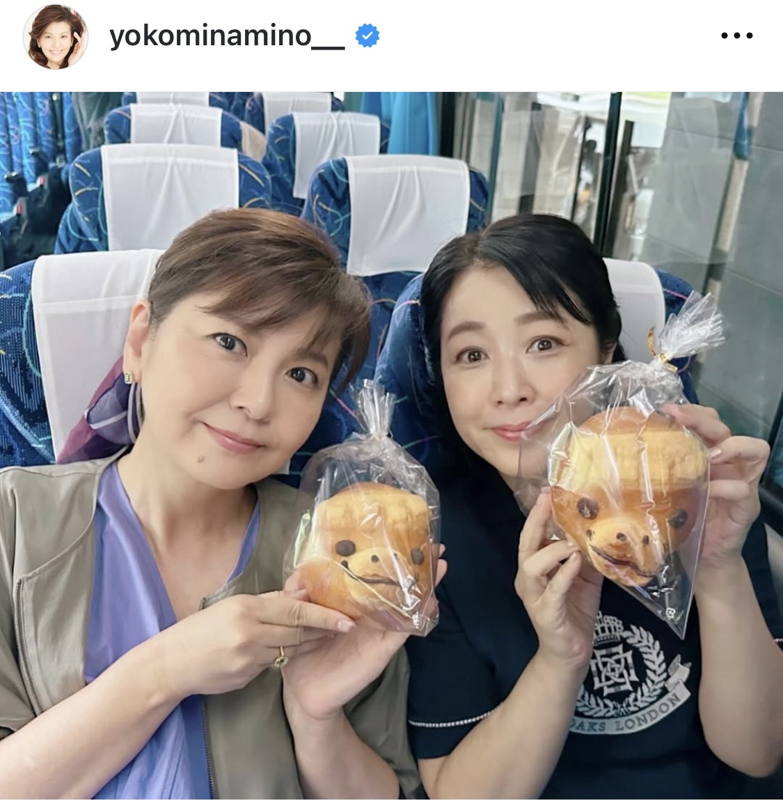 南野陽子インスタグラムから