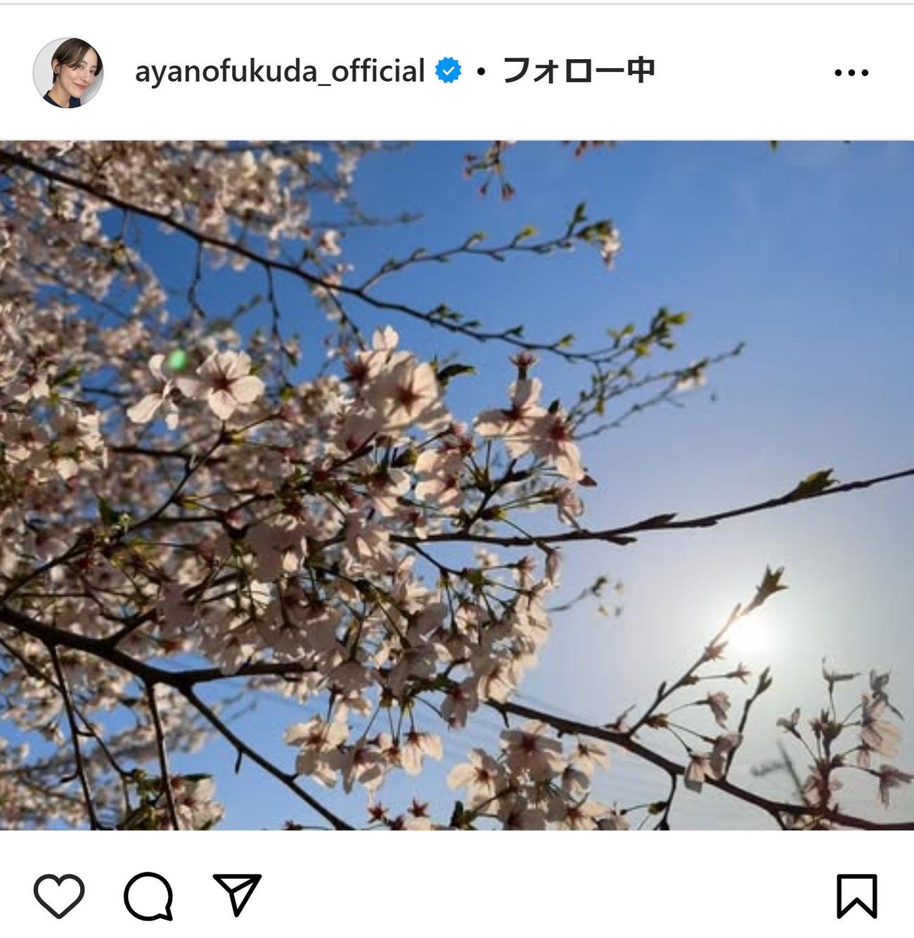 福田彩乃のインスタグラムから