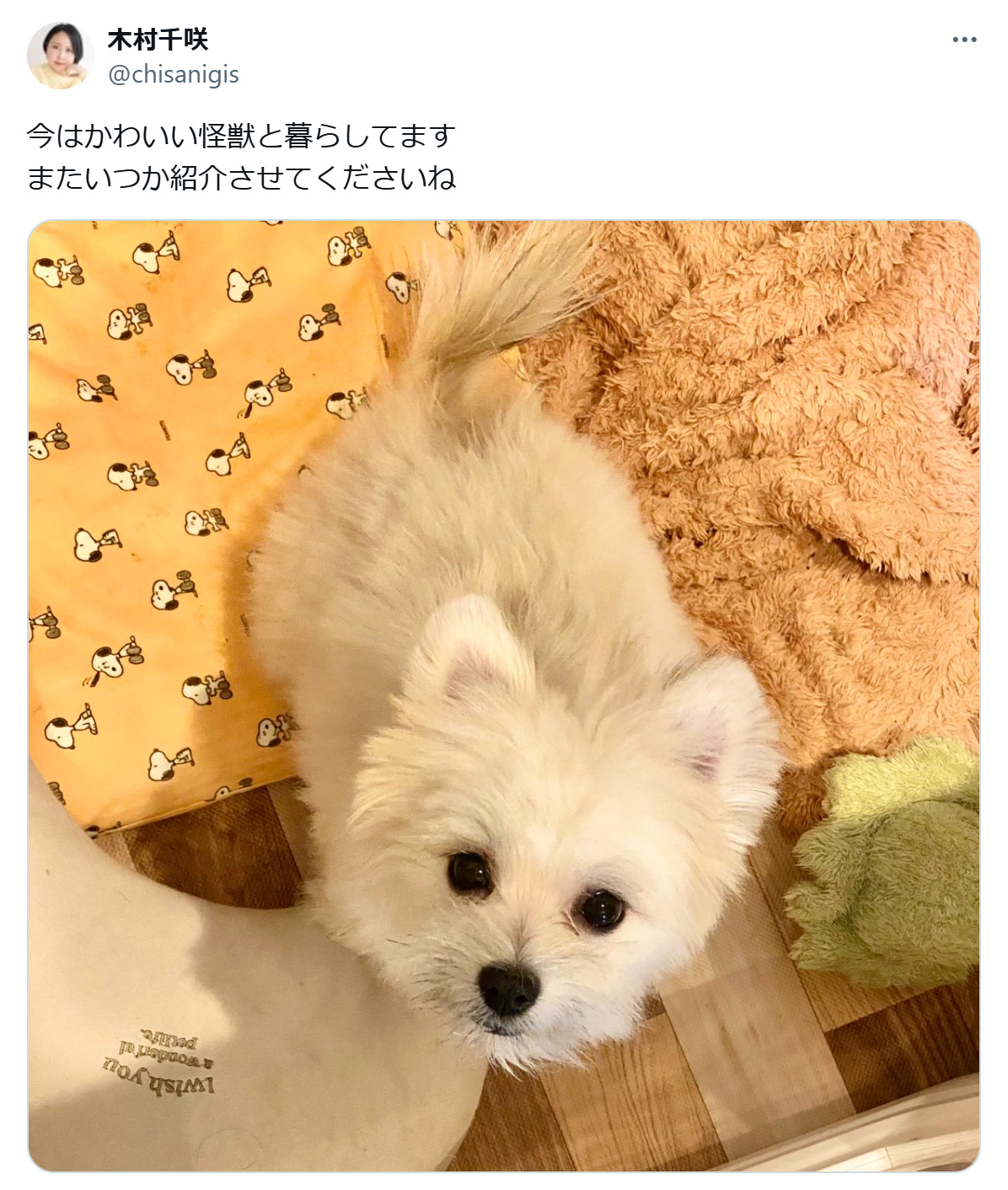 木村千咲のXから