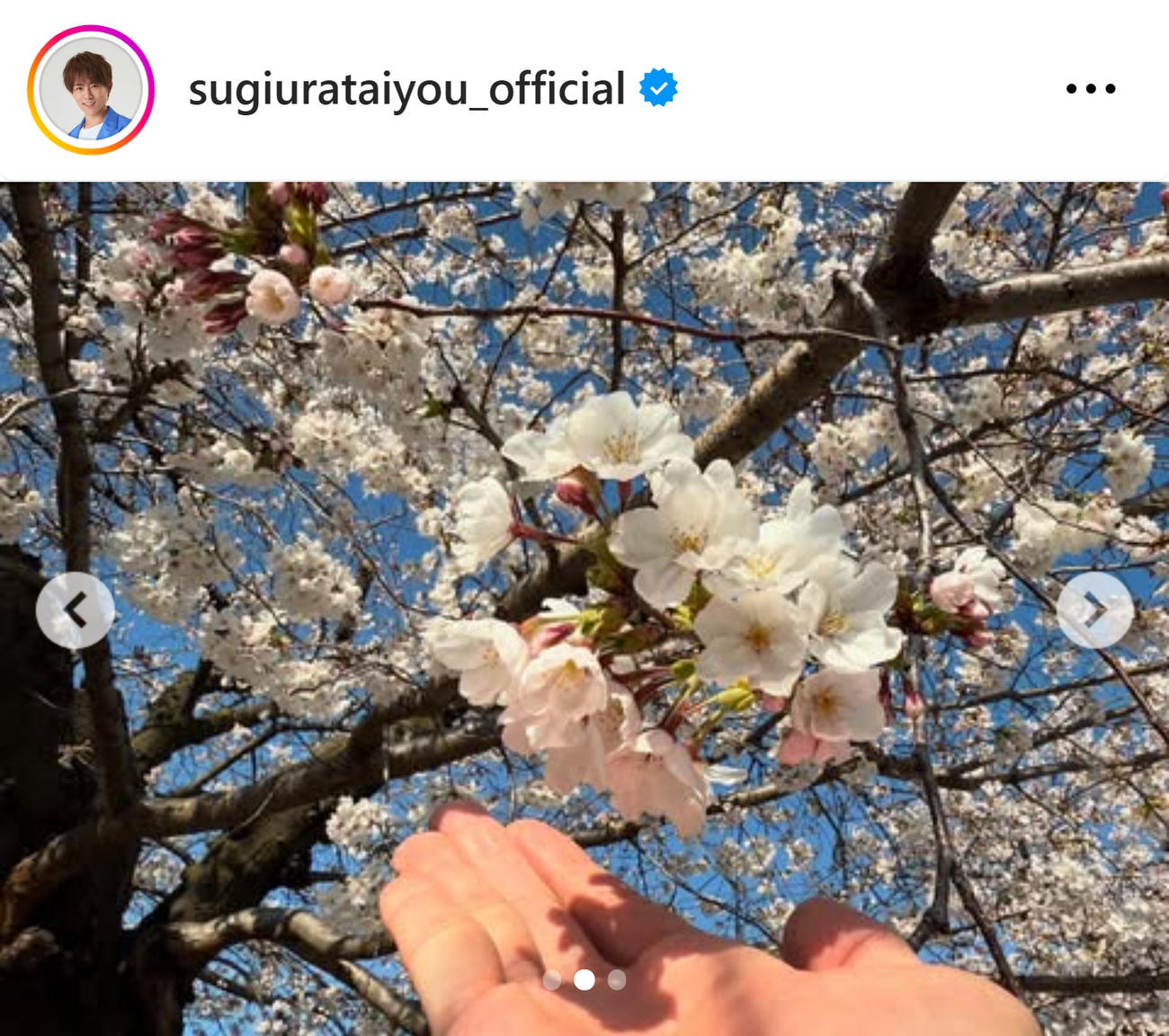 杉浦太陽のインスタグラムから