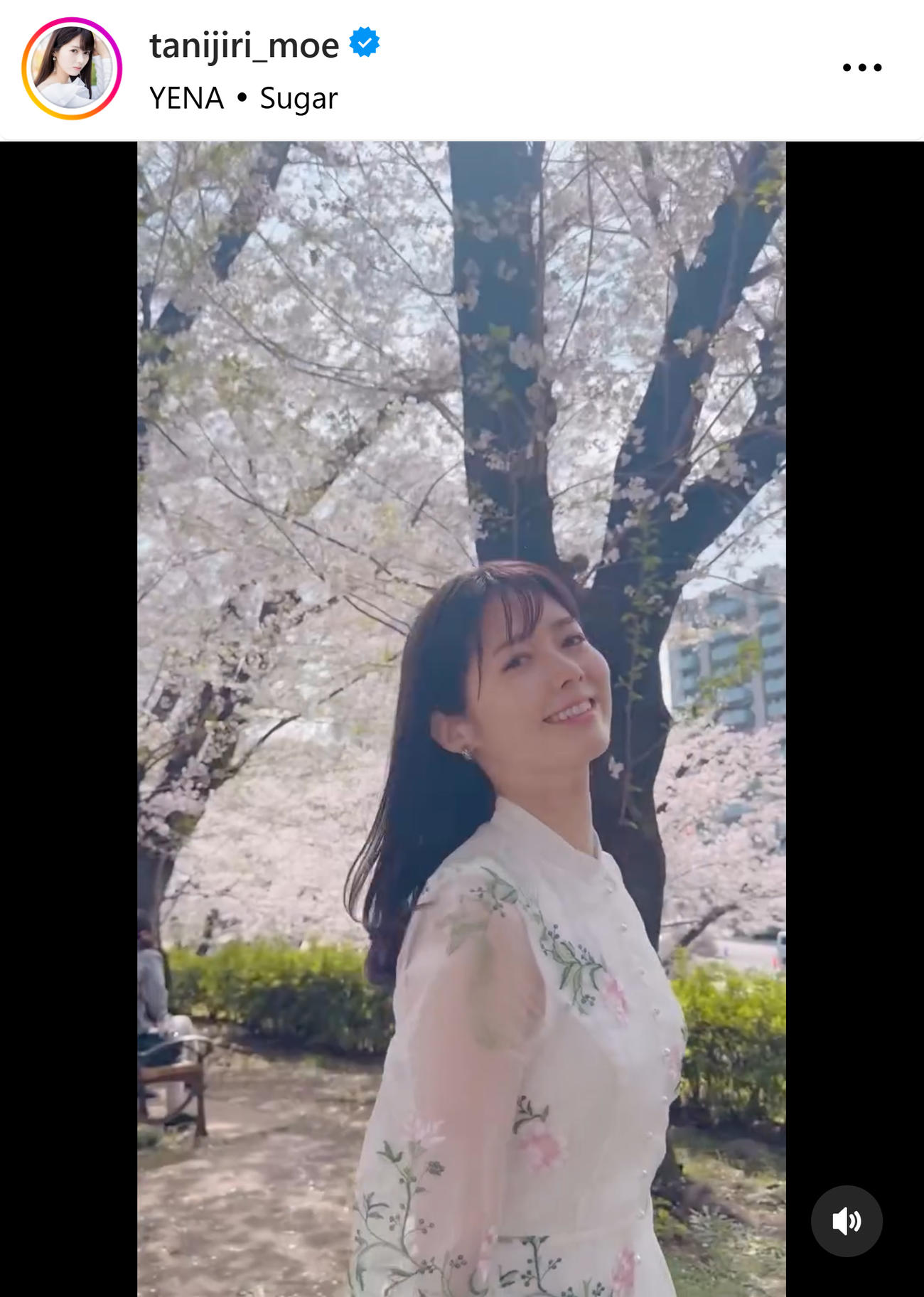 谷尻萌のインスタグラムから