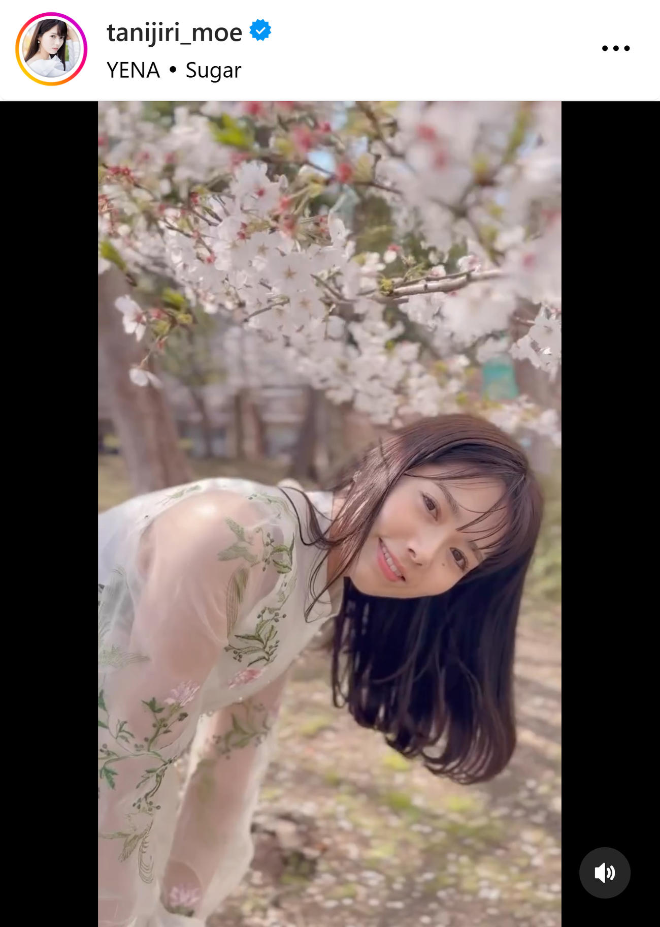 谷尻萌のインスタグラムから
