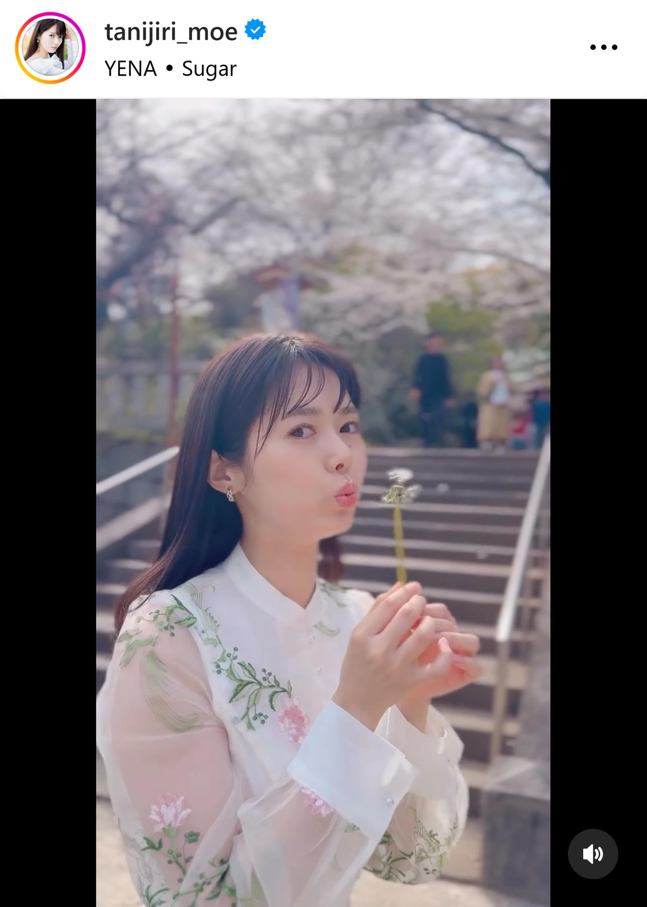 谷尻萌のインスタグラムから