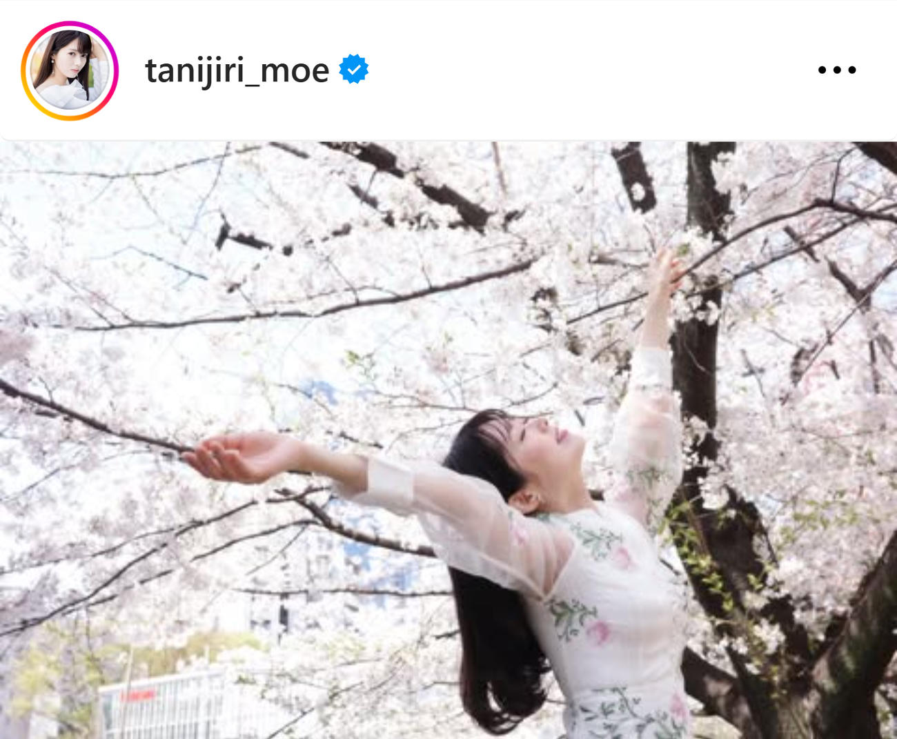 谷尻萌のインスタグラムから