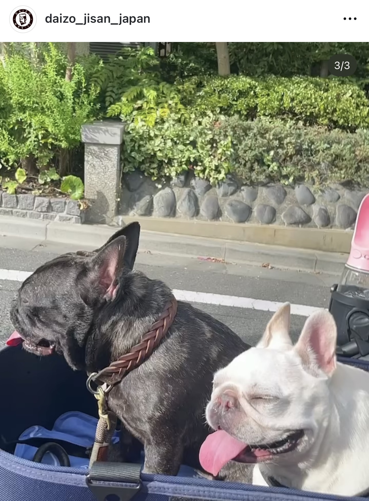 ケツメイシ大蔵のインスタグラムから