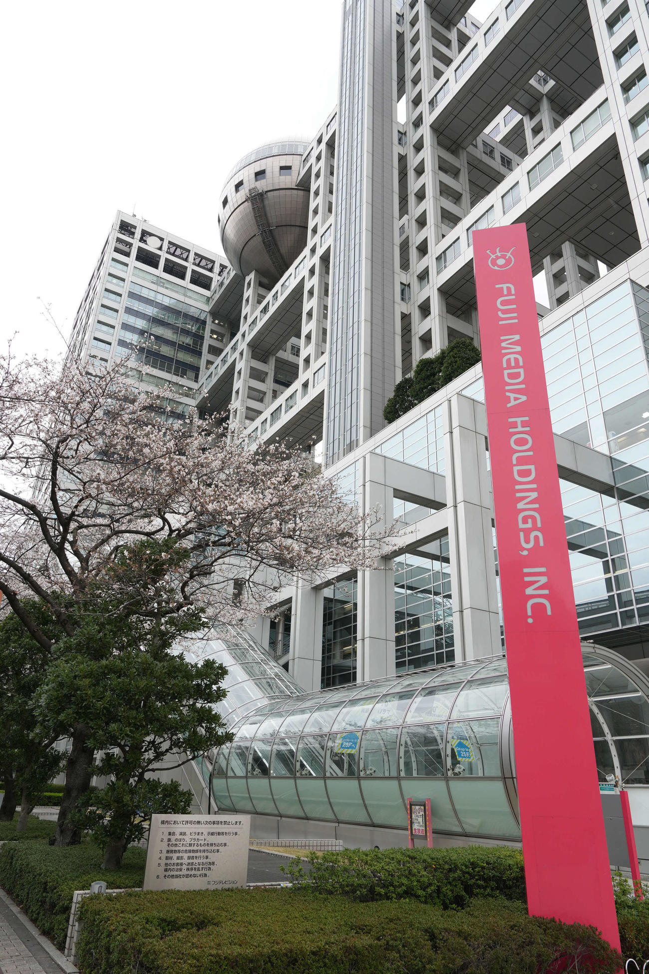 フジテレビ（25年3月撮影）