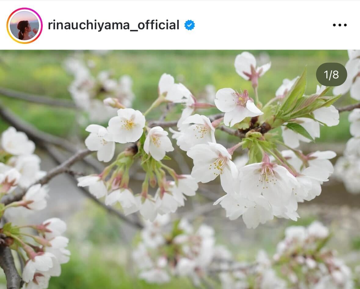 内山理名のインスタグラムから