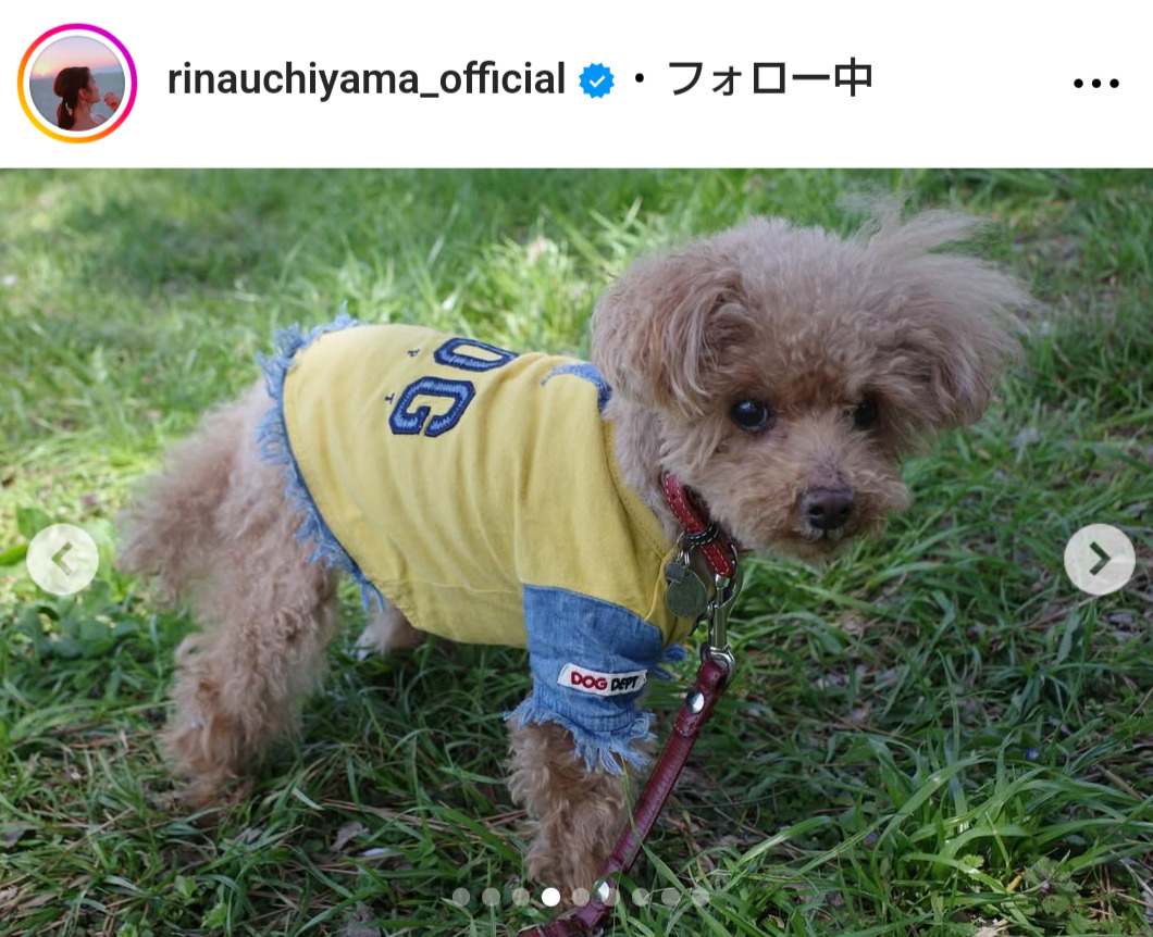 内山理名のインスタグラムから