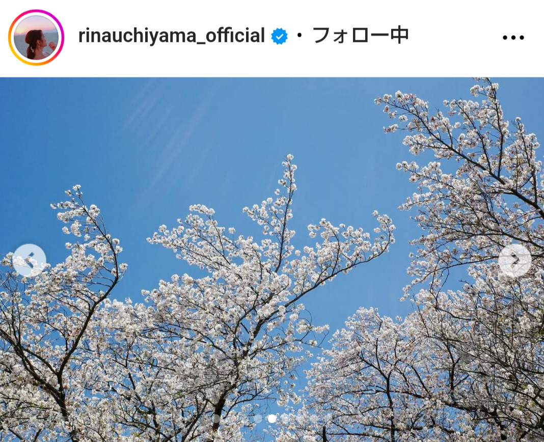 内山理名のインスタグラムから