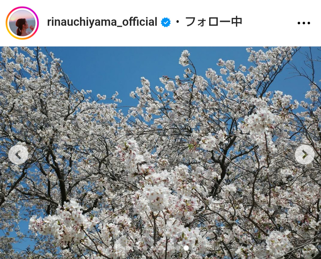 内山理名のインスタグラムから