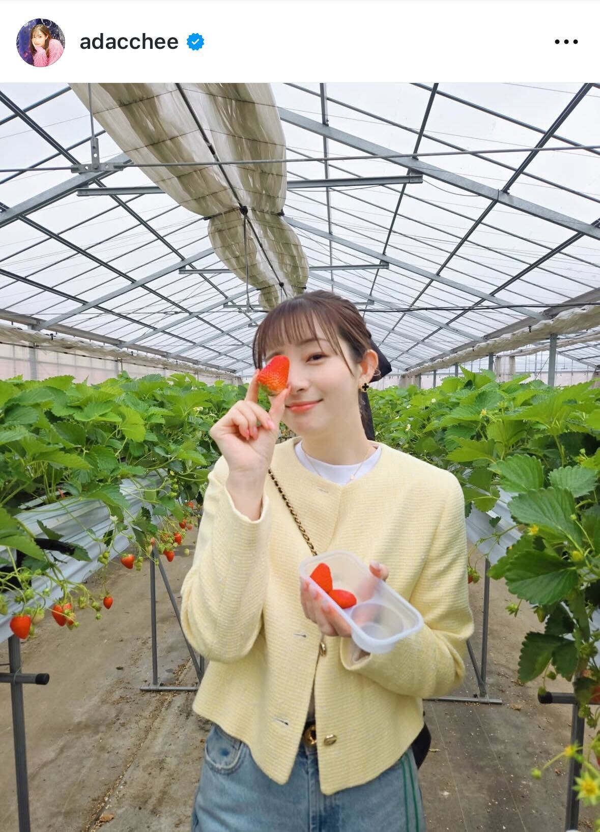 足立梨花のインスタグラムから