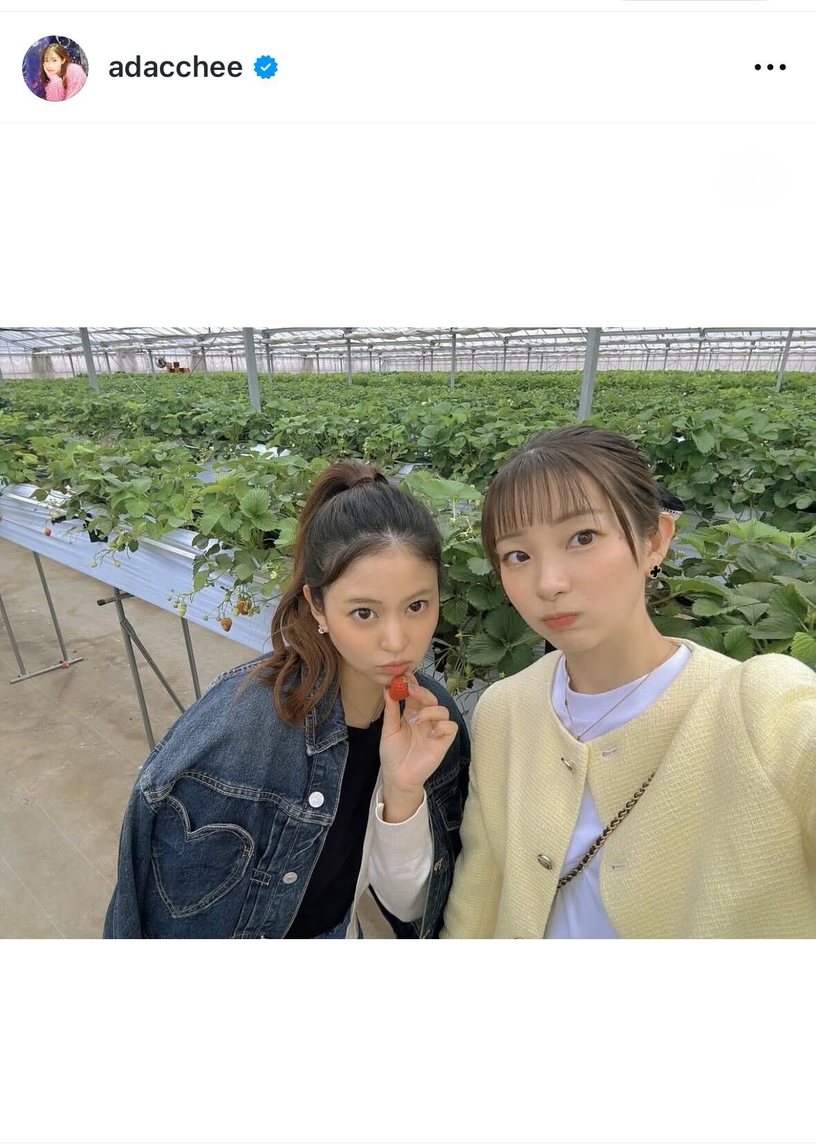足立梨花のインスタグラムから