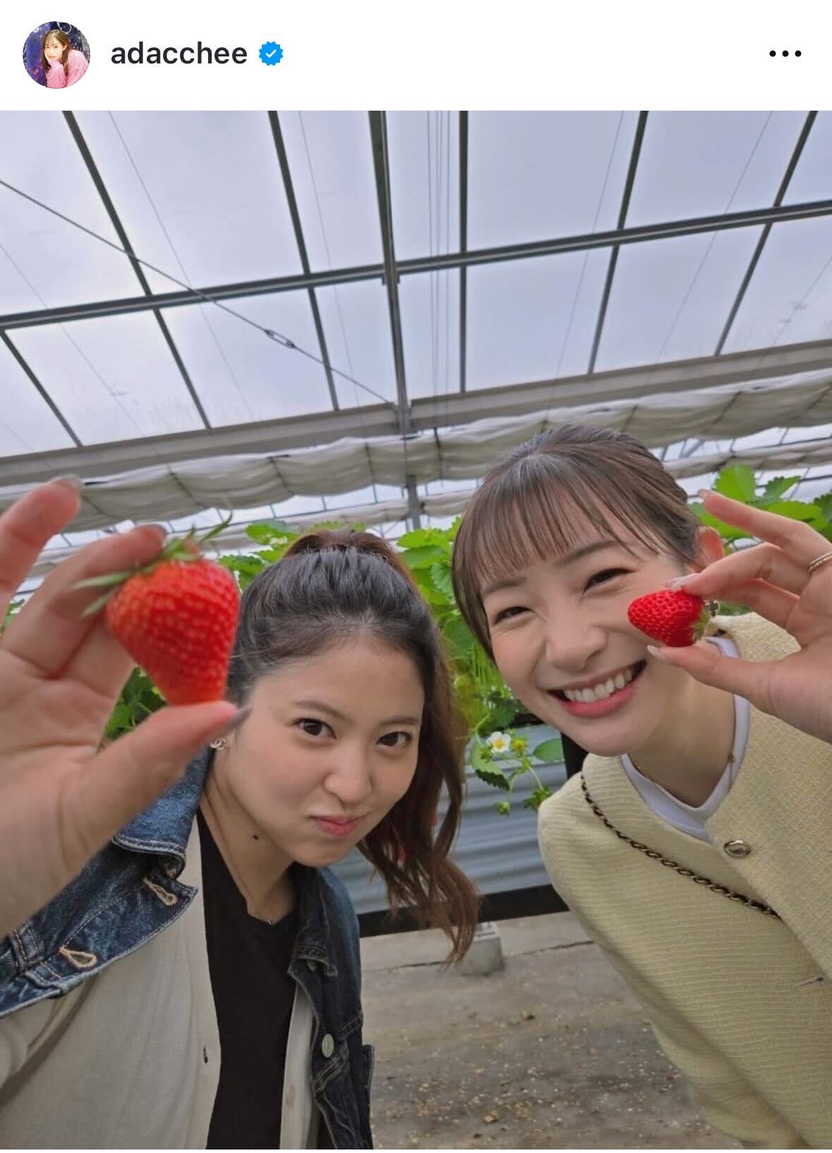 足立梨花のインスタグラムから