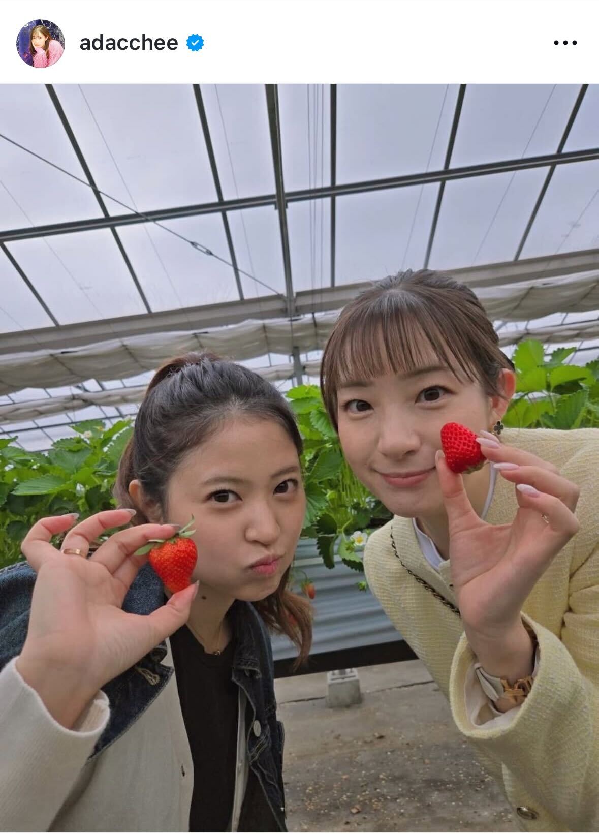 足立梨花のインスタグラムから