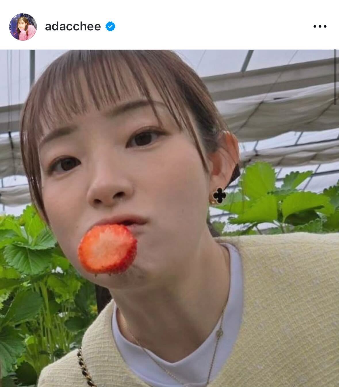 足立梨花のインスタグラムから